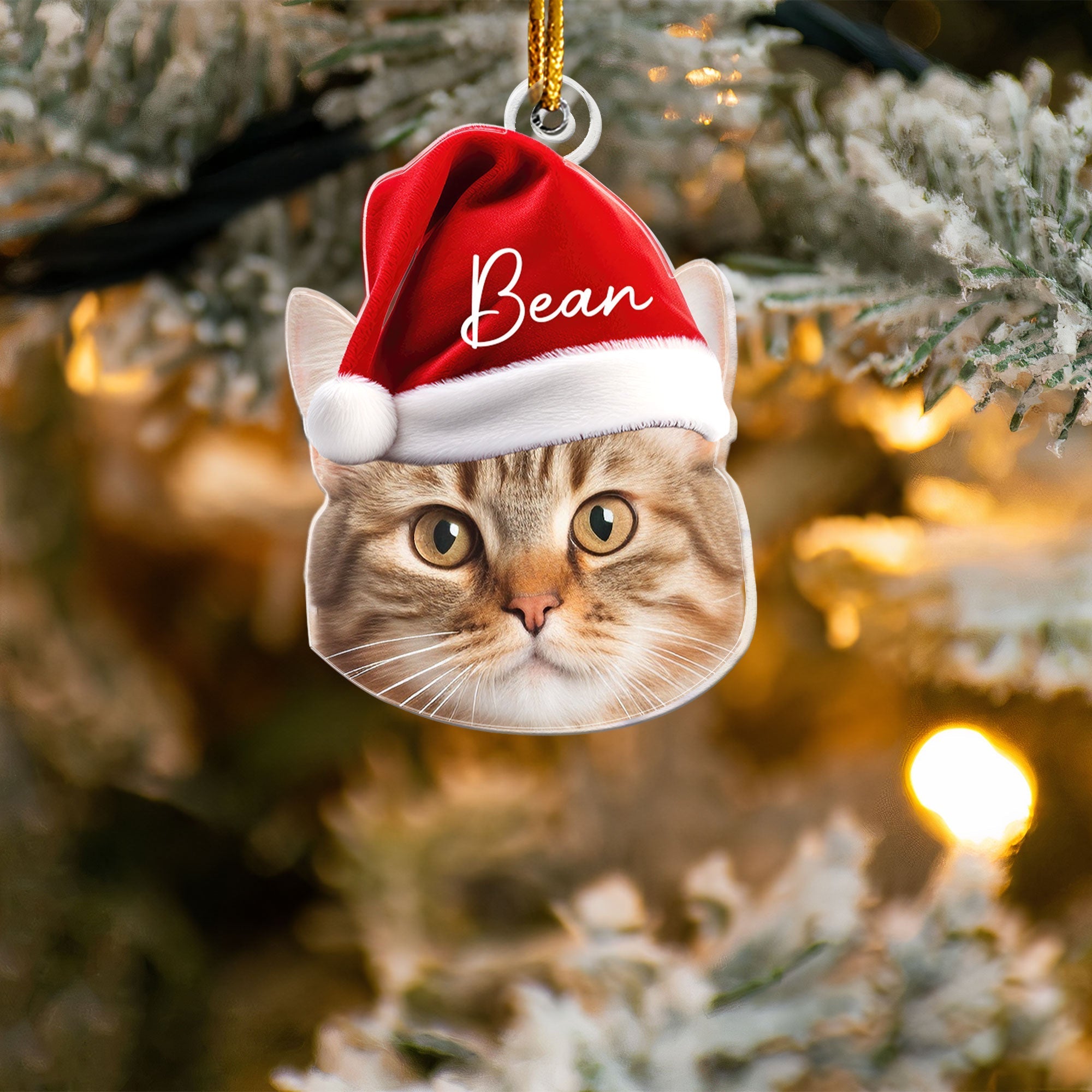 Pet Funny Christmas Face - Personalized Pet Photo Ornament ORN0810
