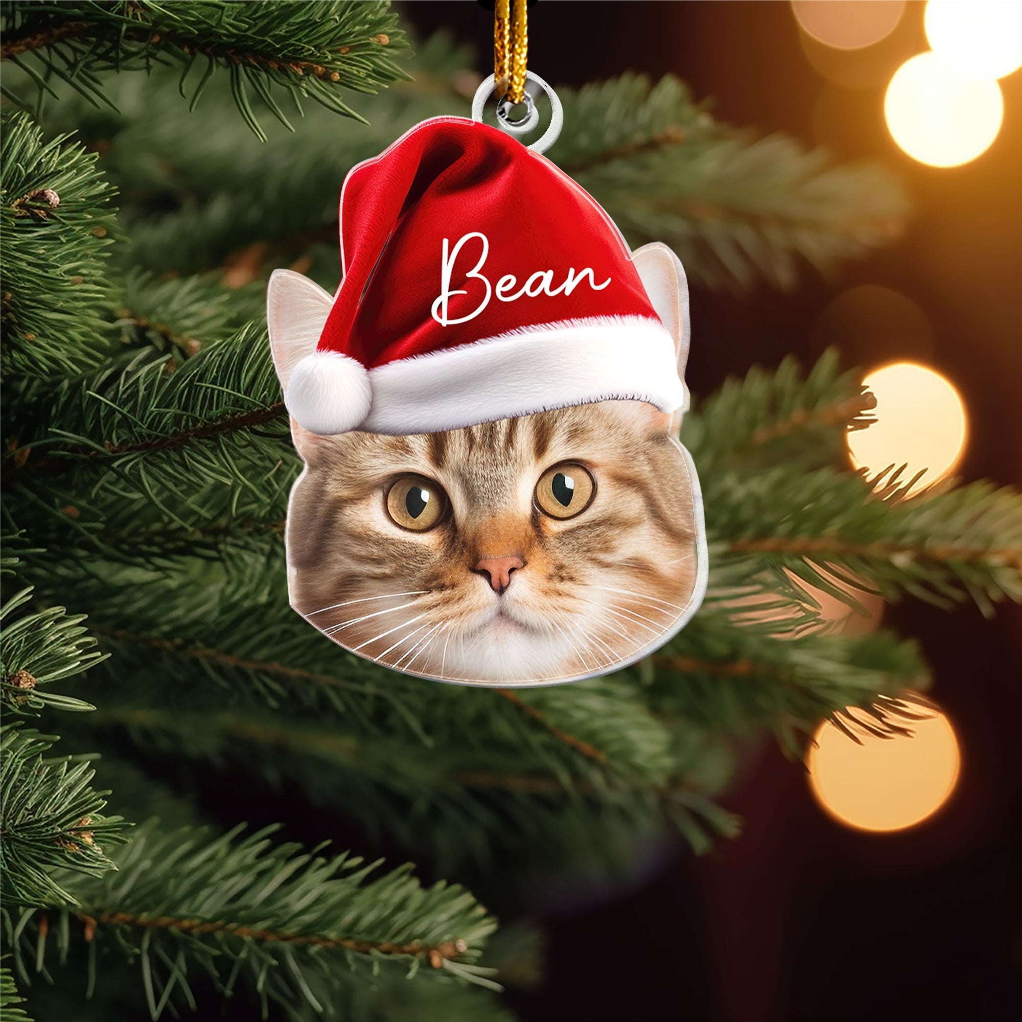 Pet Funny Christmas Face - Personalized Pet Photo Ornament ORN0810