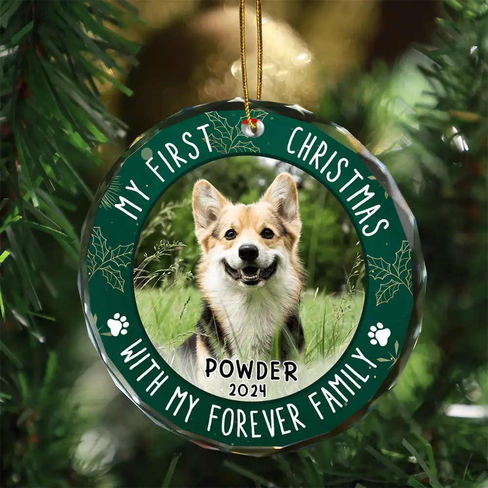 Custom Photo First Christmas Pet Lovers - Personalized Circle Glass Ornament ORNA1210
