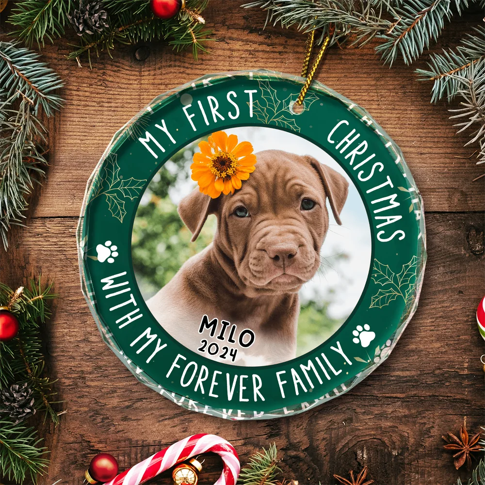 Custom Photo First Christmas Pet Lovers - Personalized Circle Glass Ornament ORNA1210
