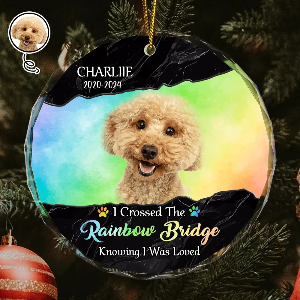 Custom Photo I Crossed The Rainbow Bridge Memorial - Personalized Circle Glass Ornament ORNA1210