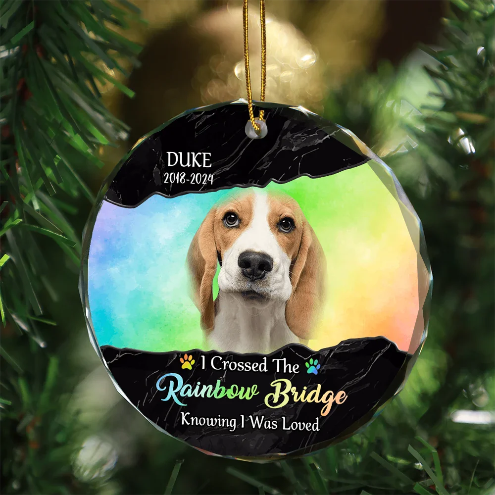 Custom Photo I Crossed The Rainbow Bridge Memorial - Personalized Circle Glass Ornament ORNA1210