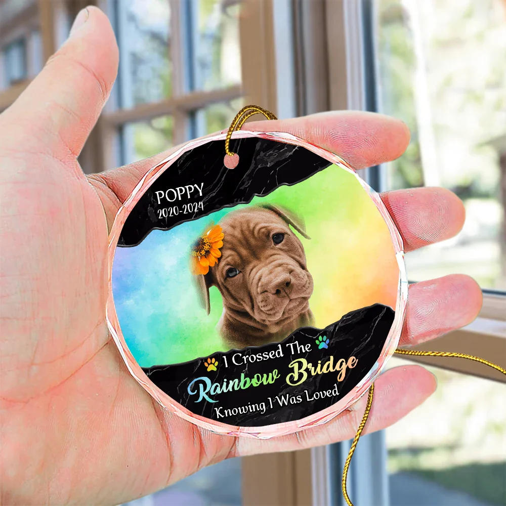 Custom Photo I Crossed The Rainbow Bridge Memorial - Personalized Circle Glass Ornament ORNA1210