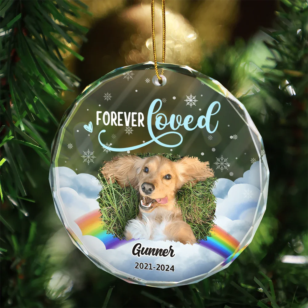 Custom Photo Forever Loved Pet Memorial - Personalized Circle Glass Ornament ORNA1210