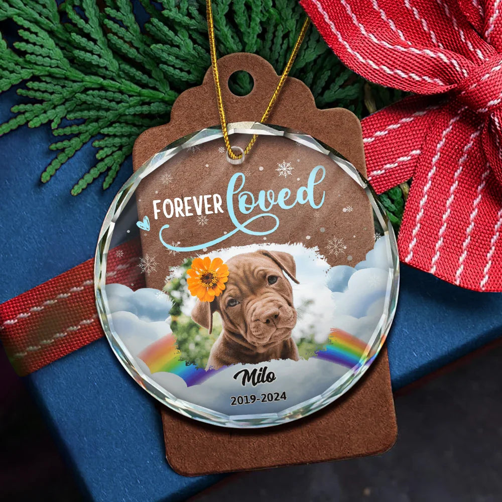 Custom Photo Forever Loved Pet Memorial - Personalized Circle Glass Ornament ORNA1210