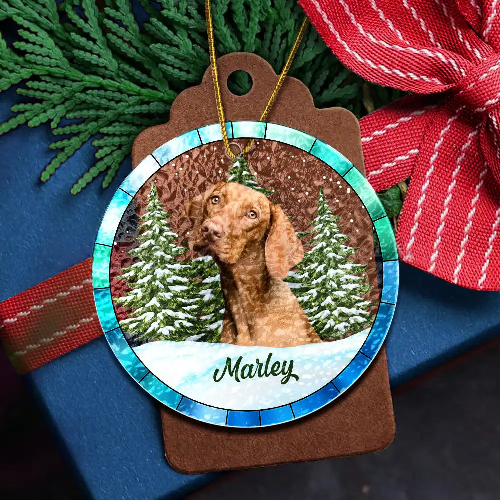 Custom Photo Christmas Pet Lovers - Personalized Stained Glass Ornament ORNA1210