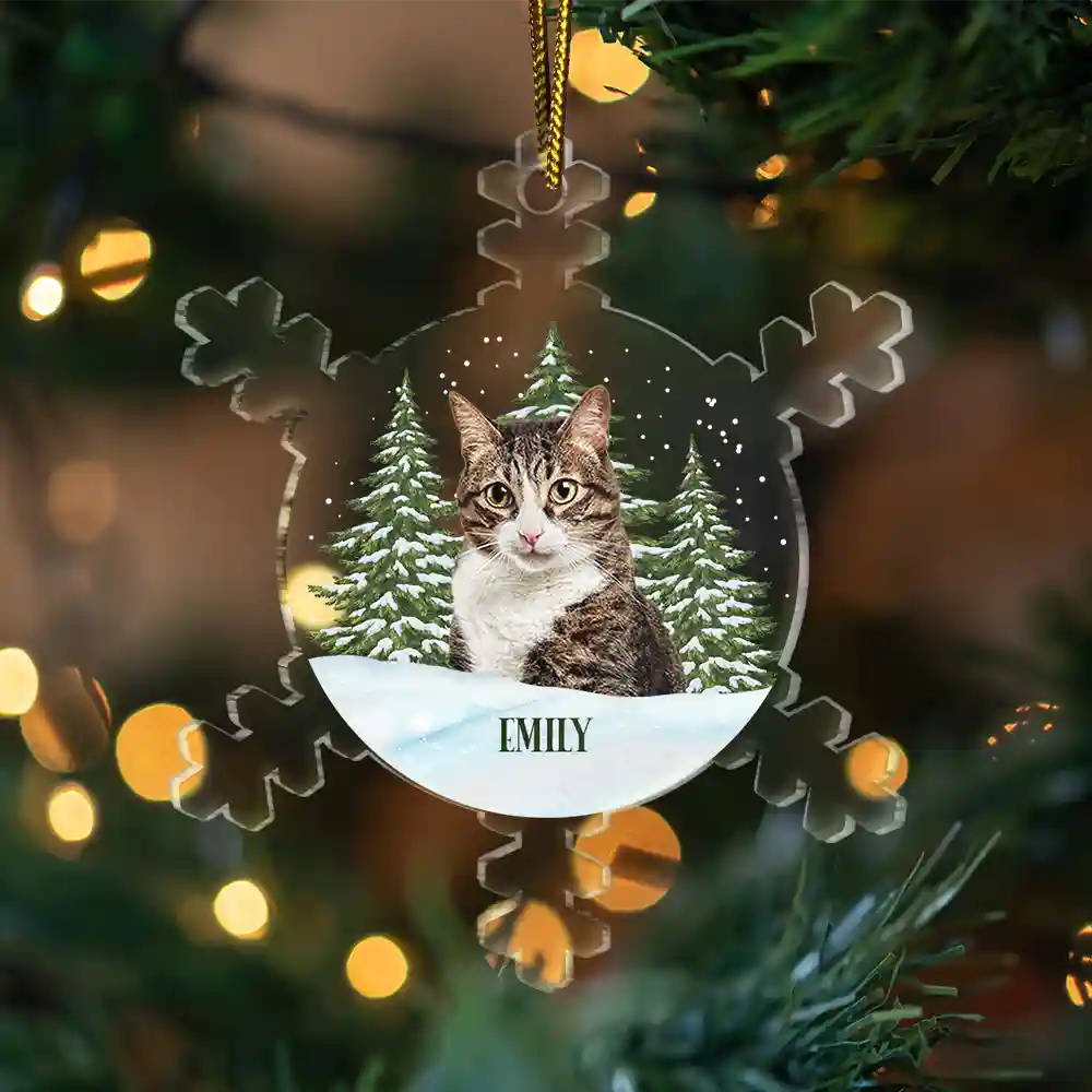 Christmas Custom Photo Family Pet Face - Personalized Custom Shaped Acrylic Ornament ORNA1210