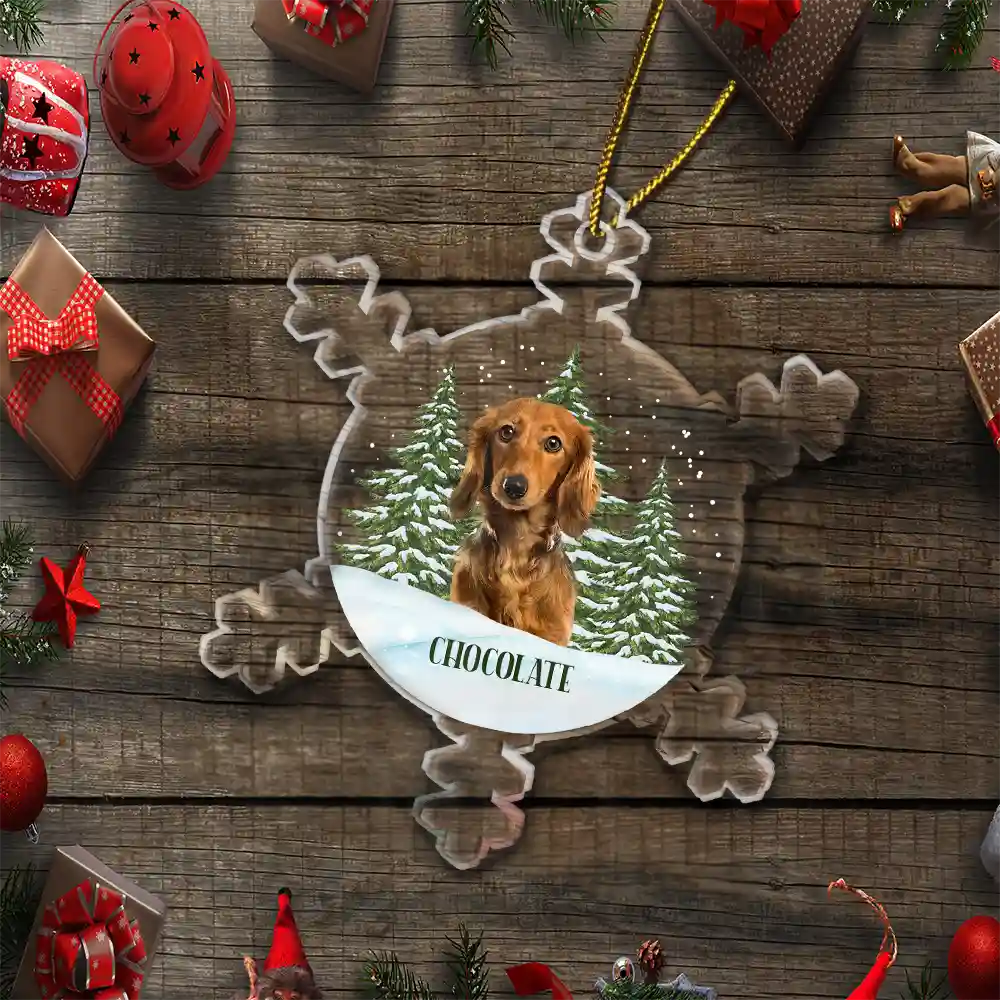 Christmas Custom Photo Family Pet Face - Personalized Custom Shaped Acrylic Ornament ORNA1210