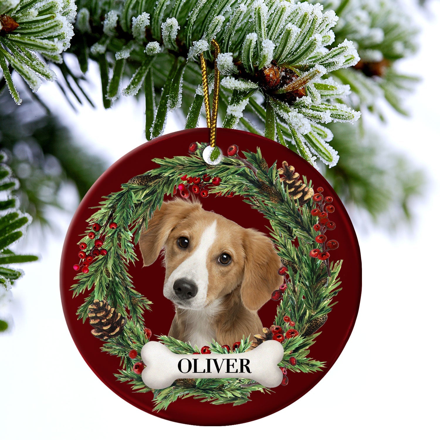 Custom Photo Lovely Pet Face - Christmas Gift For Pet Lovers, Pet Memorial - Personalized Circle Ceramic Ornament ORNA1210