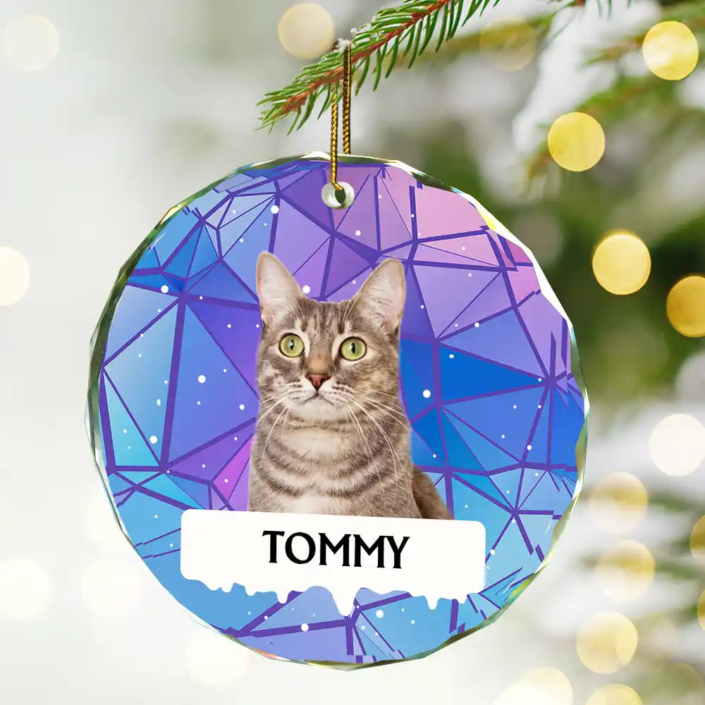 Custom Photo Best Friend For Life Christmas Memorial Dog Cat - Personalized Circle Glass Ornament ORNA1210