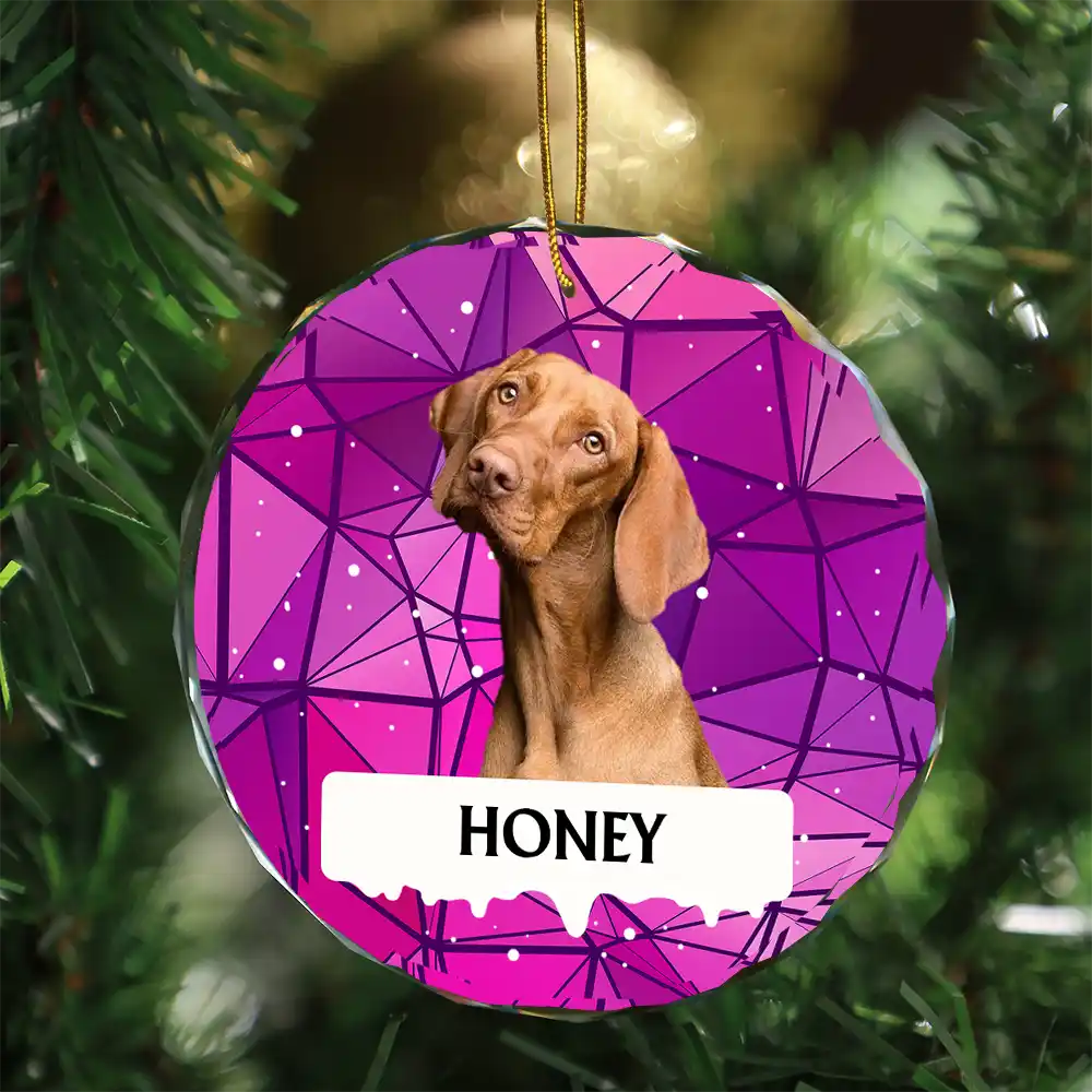 Custom Photo Best Friend For Life Christmas Memorial Dog Cat - Personalized Circle Glass Ornament ORNA1210