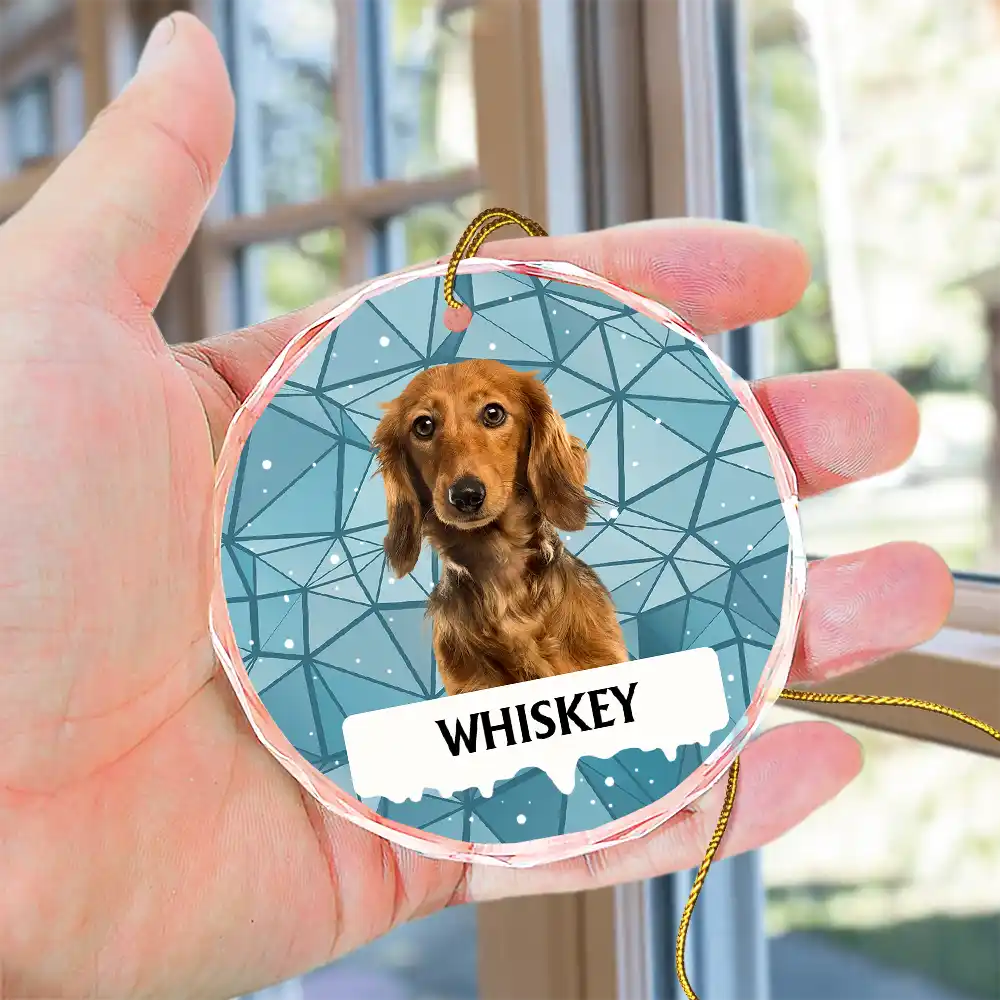 Custom Photo Best Friend For Life Christmas Memorial Dog Cat - Personalized Circle Glass Ornament ORNA1210