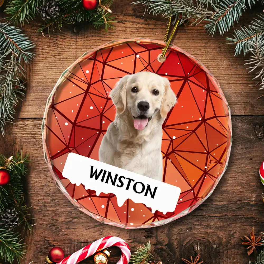 Custom Photo Best Friend For Life Christmas Memorial Dog Cat - Personalized Circle Glass Ornament ORNA1210