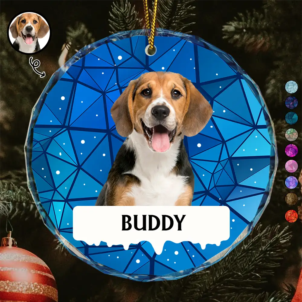 Custom Photo Best Friend For Life Christmas Memorial Dog Cat - Personalized Circle Glass Ornament ORNA1210