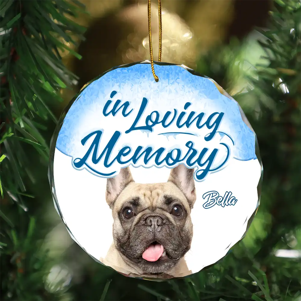 Custom Photo In Loving Memory Pet - Personalized Circle Glass Ornament ORNA1210