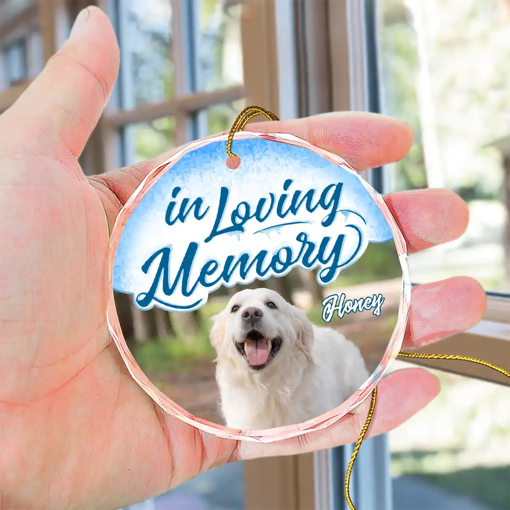 Custom Photo In Loving Memory Pet - Personalized Circle Glass Ornament ORNA1210