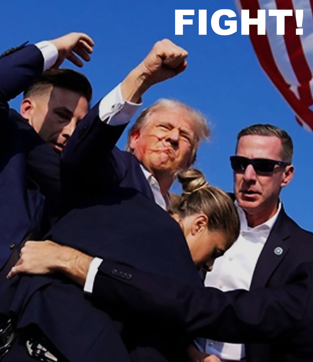 Fight Donald Trump Trucker Hat, I Will Fight Trump, I Stand With Trump, Make America Great Again, Donald Trump Trucker Hat, Trump Trucker Hat Tu1 1