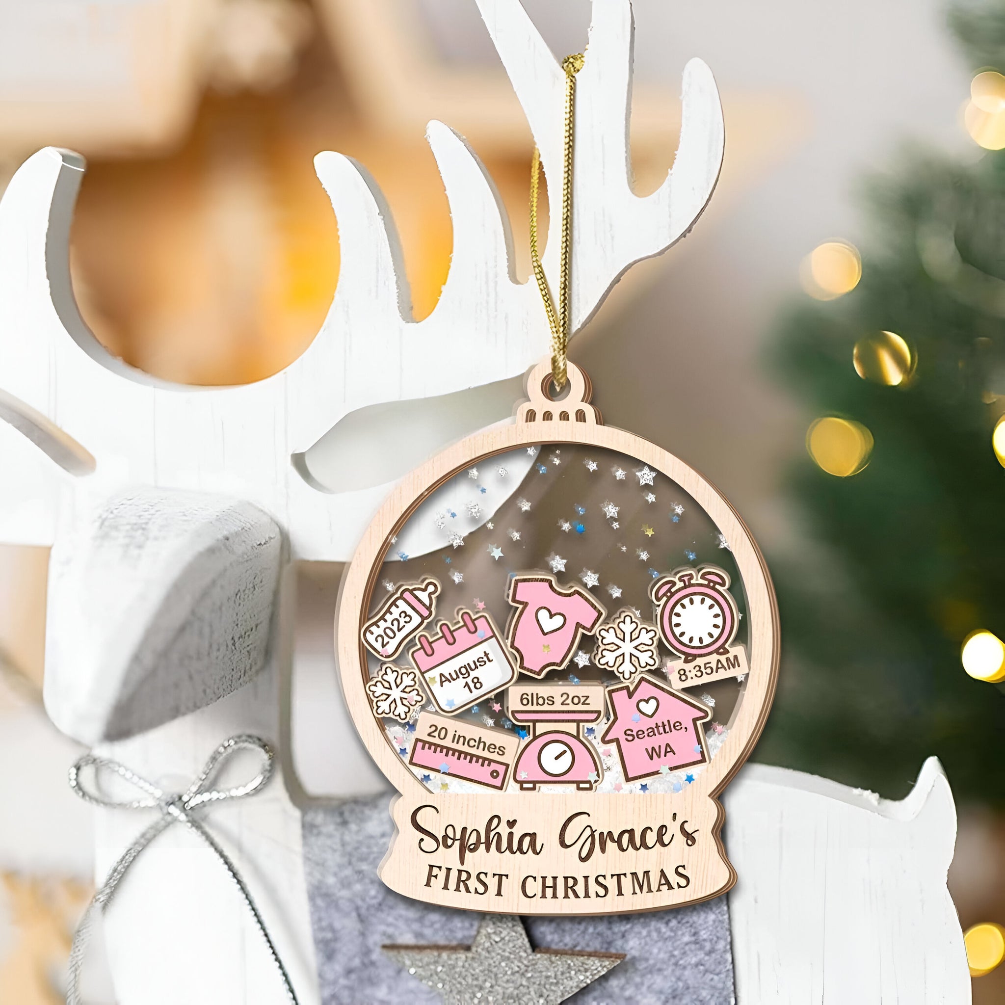 Baby's First Christmas - Personalized 4D Shaker Ornament - Christmas Gift For Family & Baby ORN2809