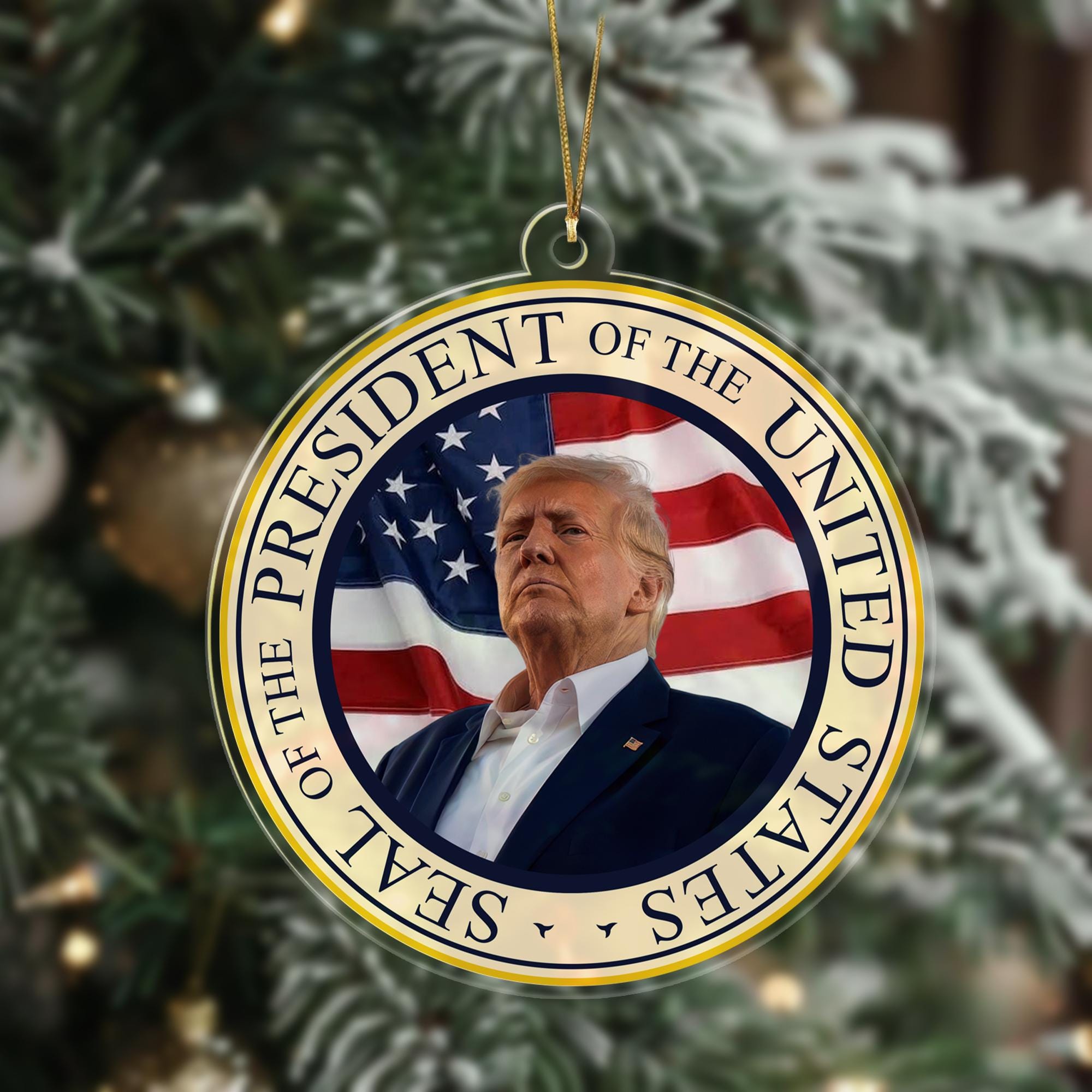 Donald Trump Inauguration Day 2025 Ornament, Memorabilia 2025 Ornament, 47th President Trump Decor, Trump Vance 2025 Inauguration Gift ORNO5