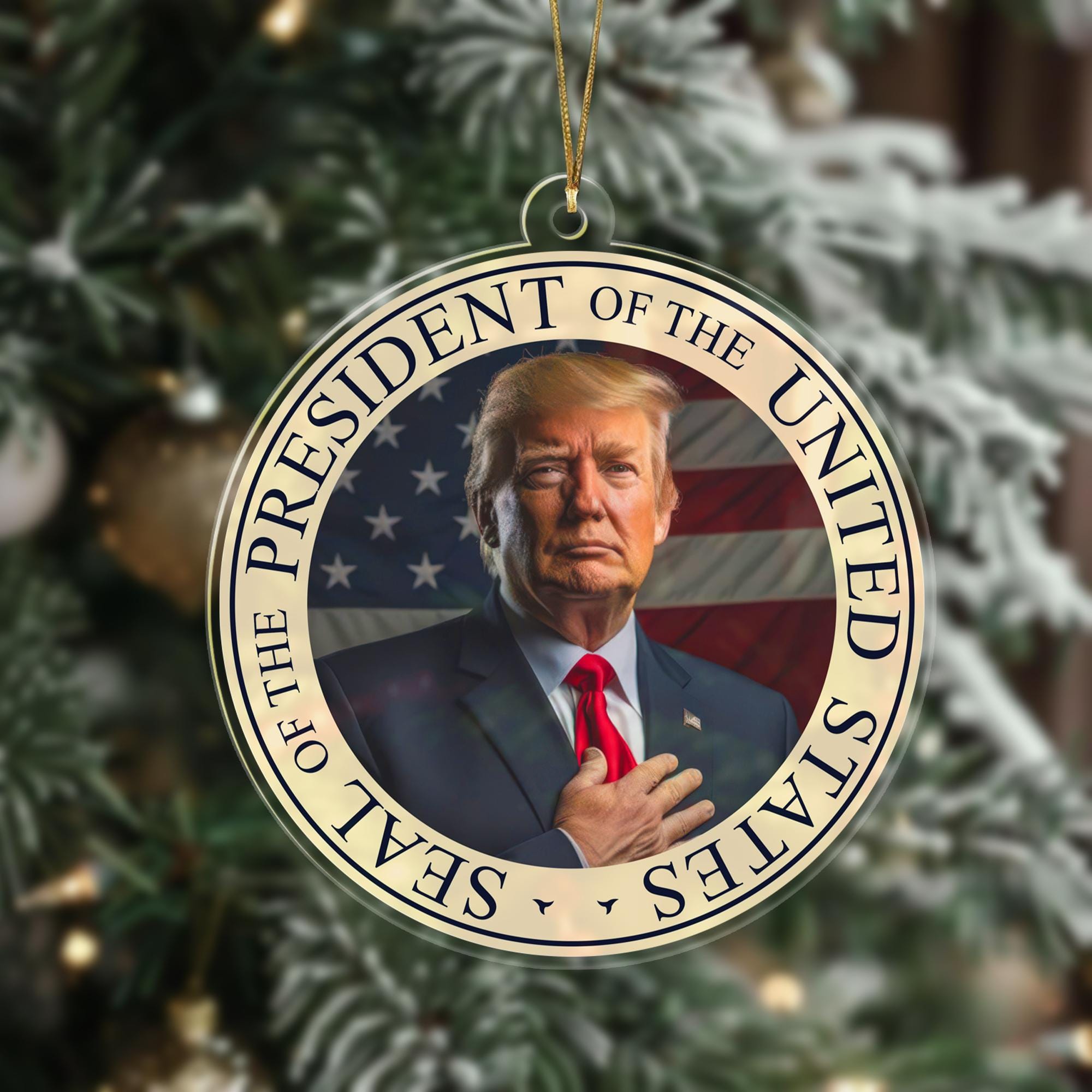 Donald Trump Inauguration Day Ornament, 47th President Trump Ornament, President Donald Trump Inauguration Day 2025 Decor, Trump Vance Gift ORNO5
