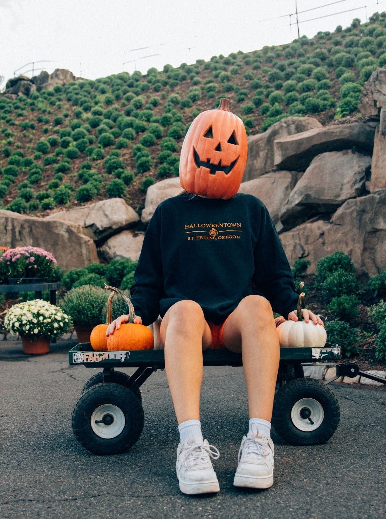 Halloweentown Embroidered Crewneck EMHA2608