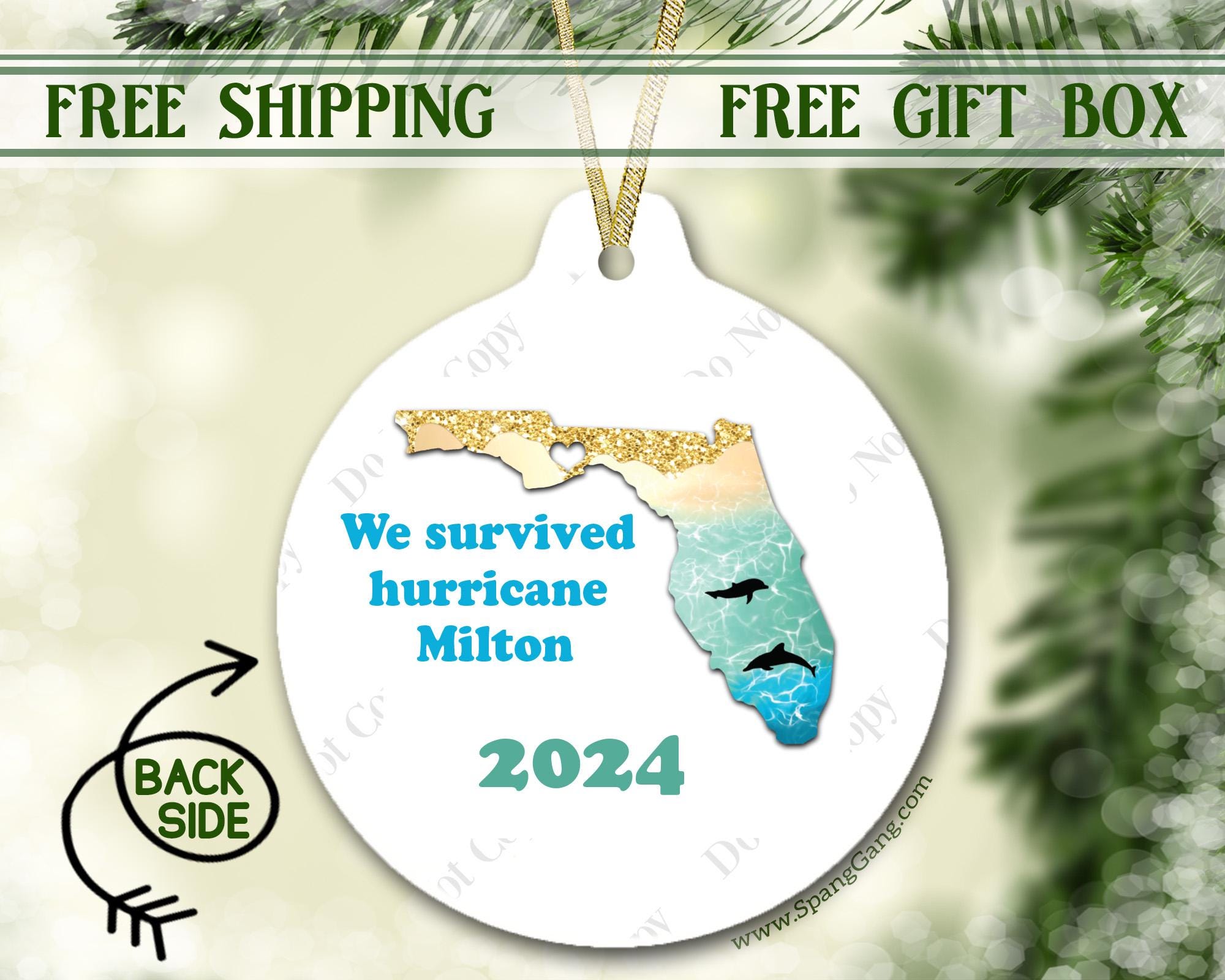 Hurricane Milton 2024  First Hurricane Ornament  Keepsake for Family  Funny Christmas gift  Florida Strong  Hurricane season 2024 ORH1710T