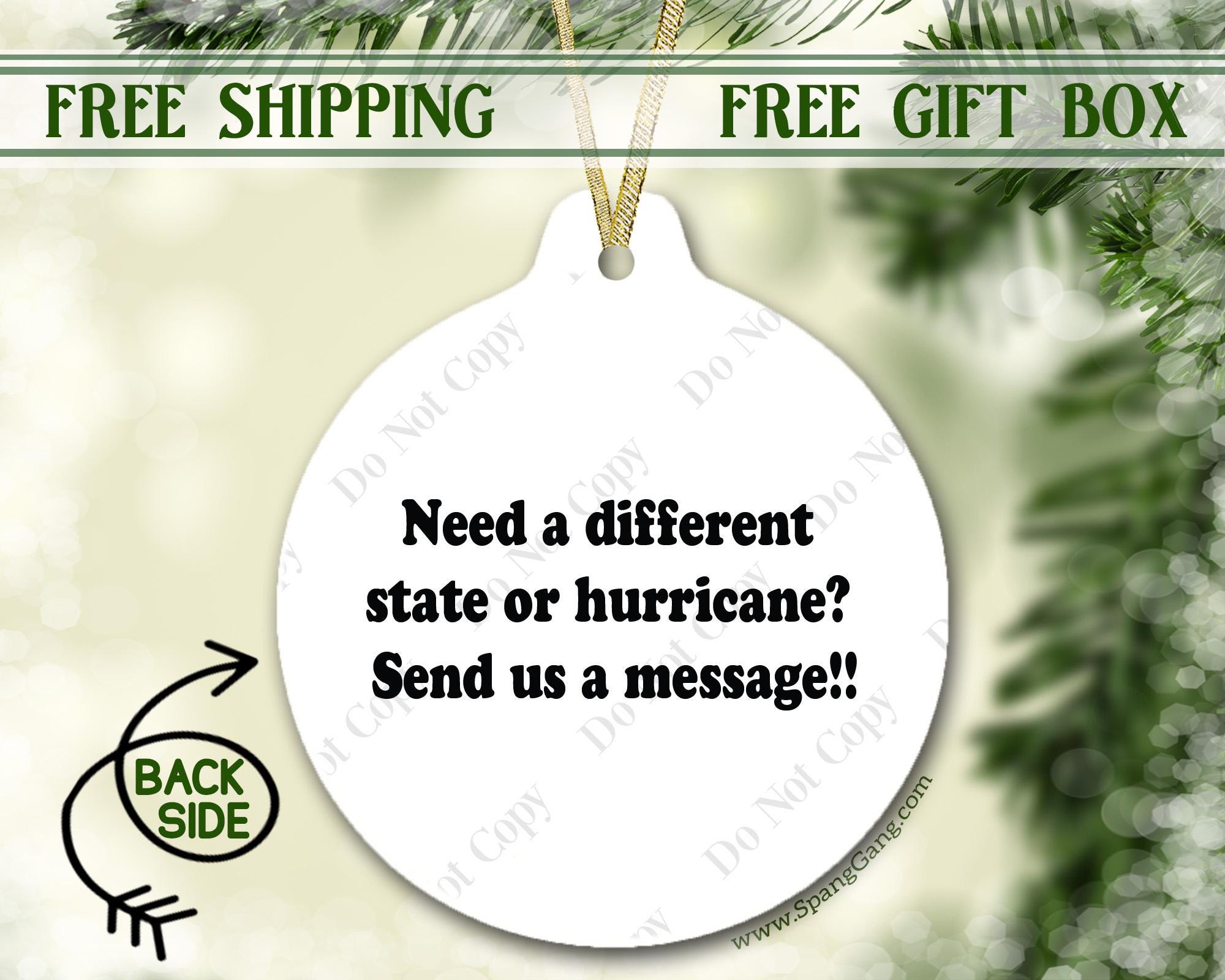 Hurricane Milton 2024  First Hurricane Ornament  Keepsake for Family  Funny Christmas gift  Florida Strong  Hurricane season 2024 ORH1710T
