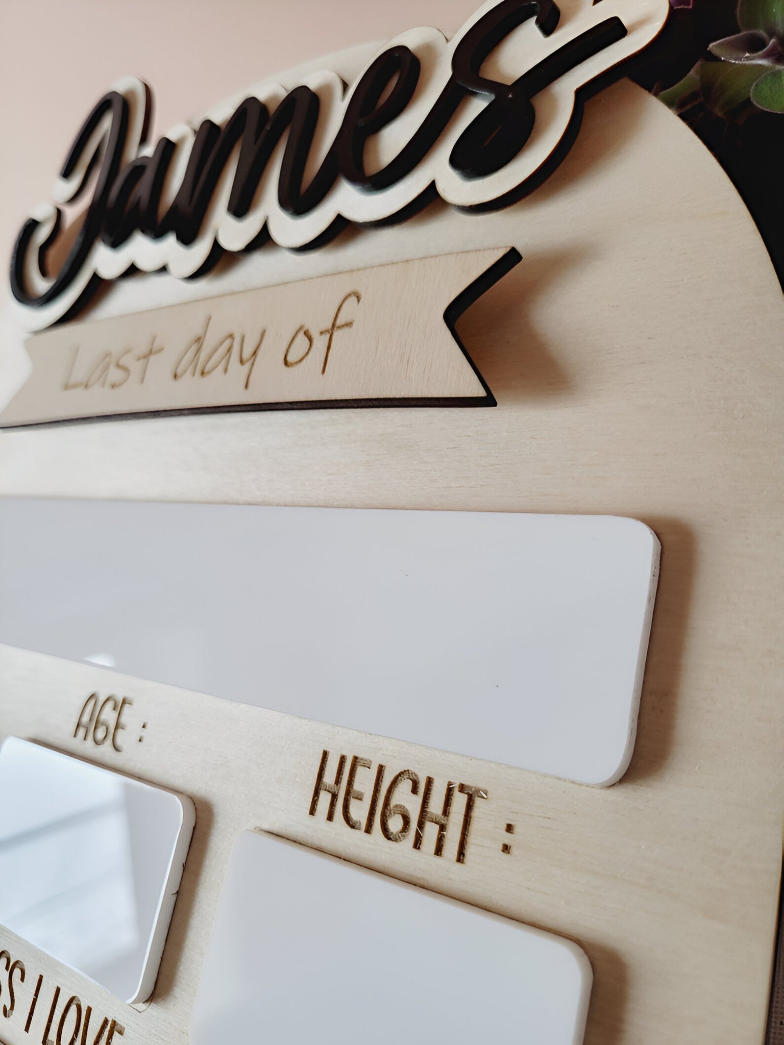 First Day Of School Sign, Custom interchangeable Board, Back To School Sign, First And Last Day School Sign, Back To School Photo Prop scsign1