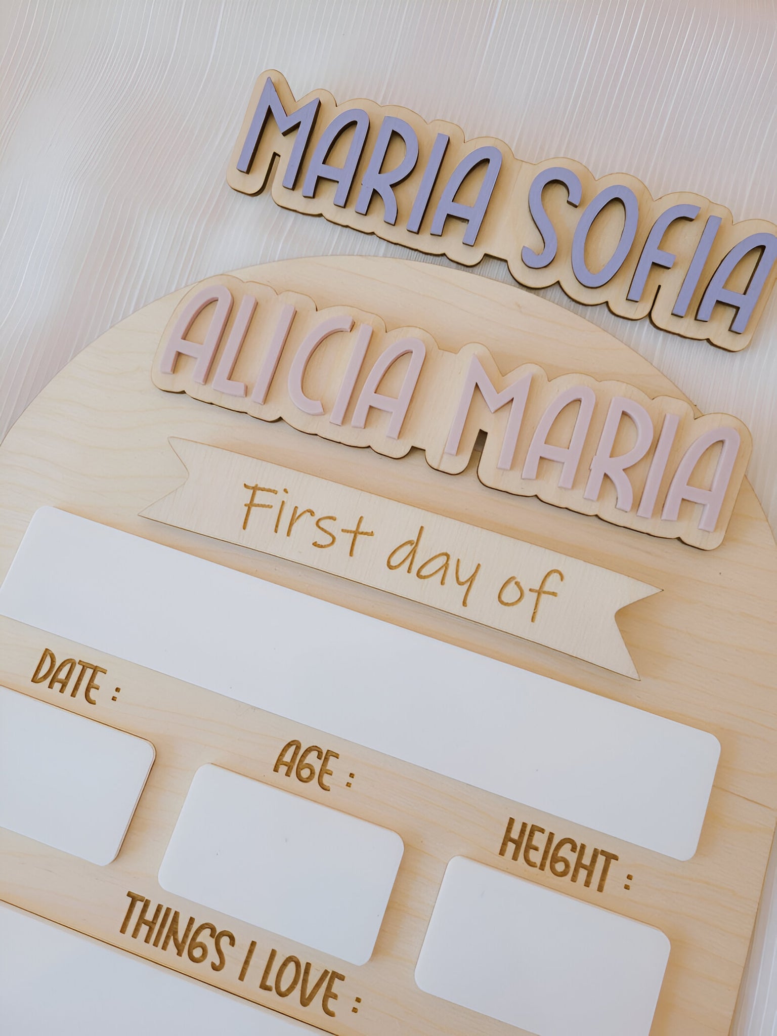 First Day Of School Sign, Custom interchangeable Board, Back To School Sign, First And Last Day School Sign, Back To School Photo Prop scsign1