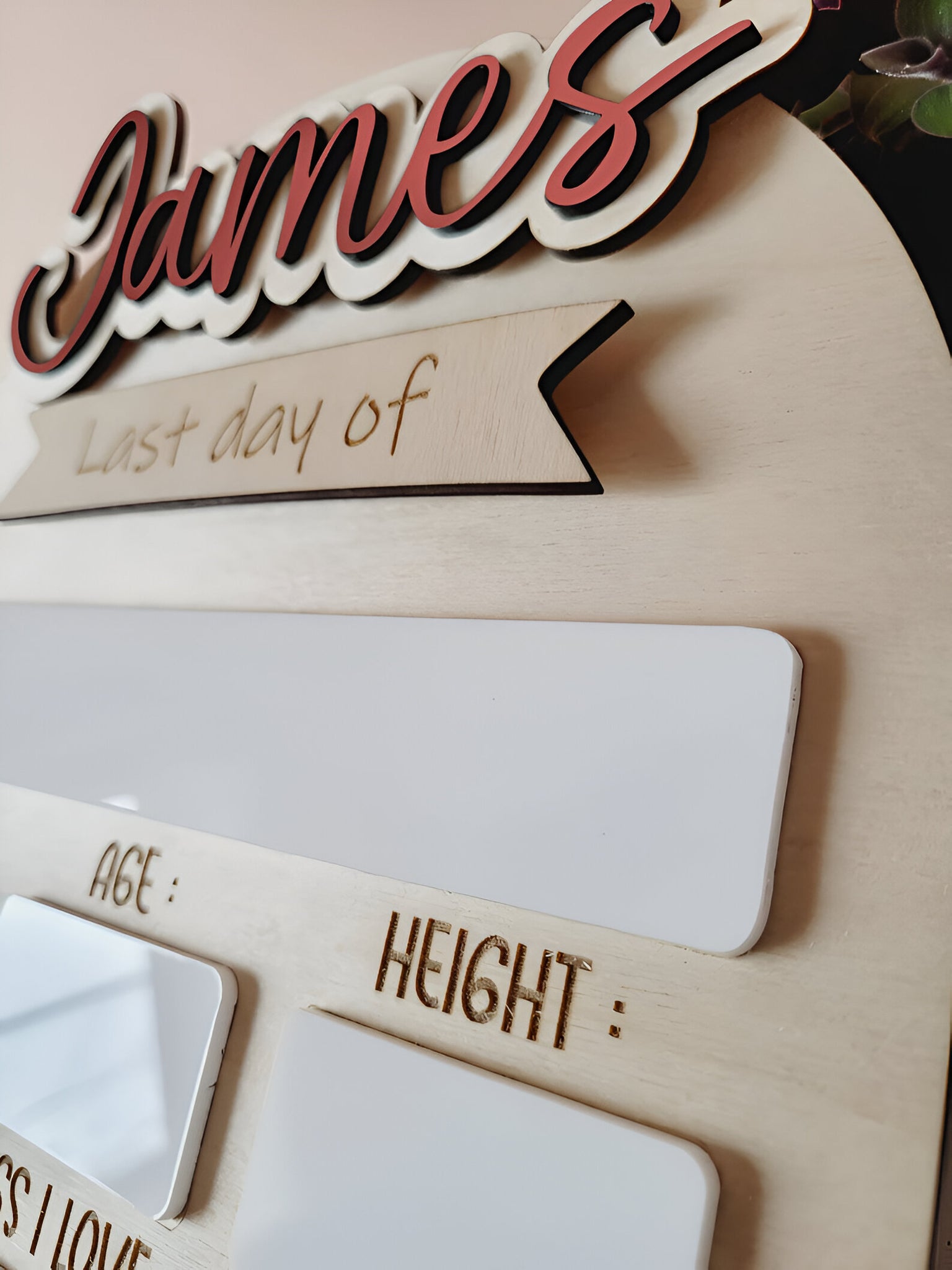 First Day of School Sign, Back to School Sign,Personalized School Sign,Kindergarten First Day of School Sign, First and Last Day School Sign scsign1