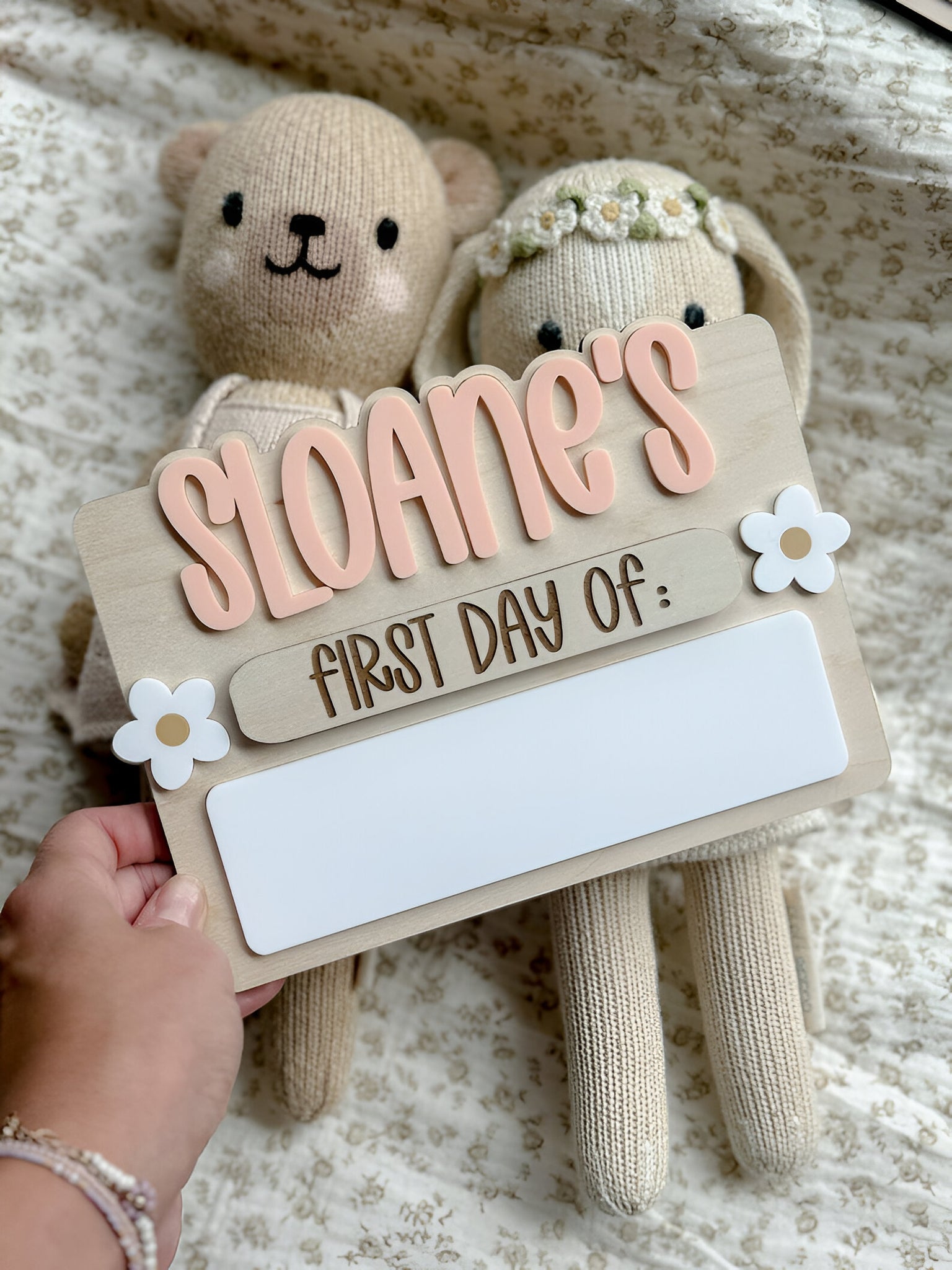 First Day of School Sign, Back to School Sign, Kids First Last Day of School Sign, Interchangeable School Sign, Back to School Photo Prop scsign1