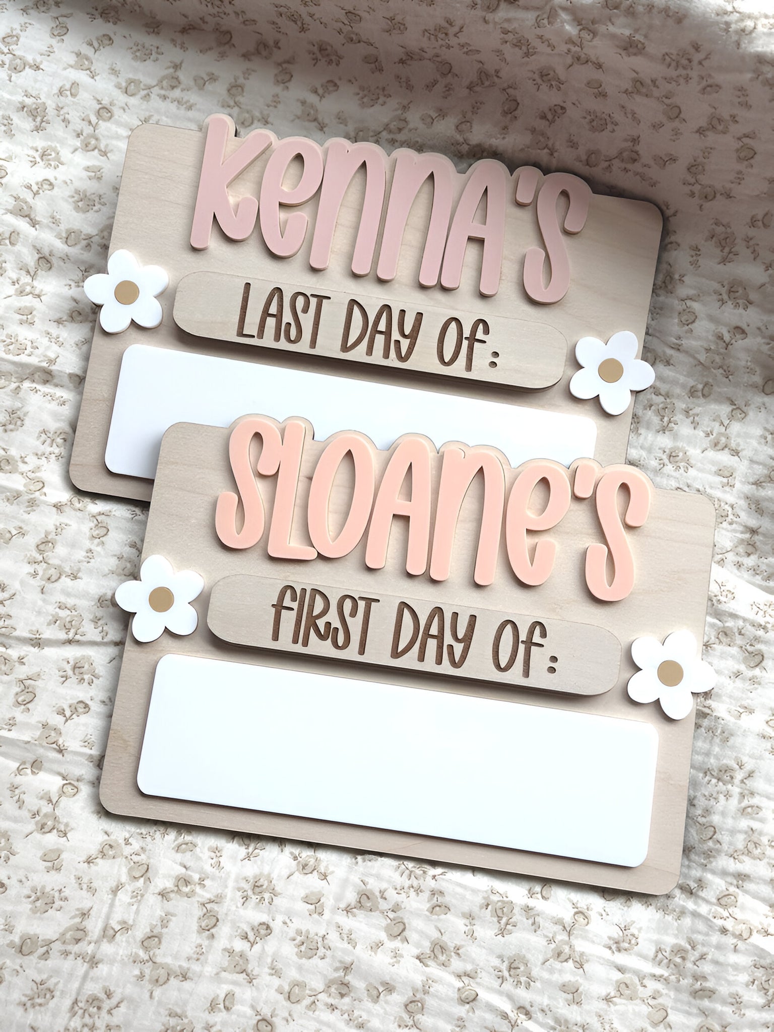 First Day of School Sign, Back to School Sign, Kids First Last Day of School Sign, Interchangeable School Sign, Back to School Photo Prop scsign1