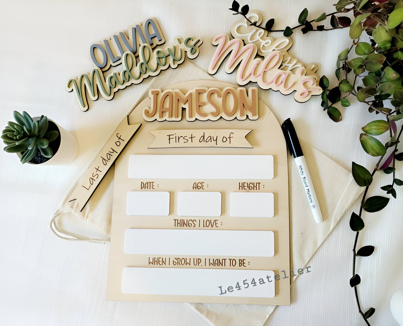 First Day Of School Sign, Custom interchangeable Board, Back To School Sign, First And Last Day School Sign, Back To School Photo Prop scsign1