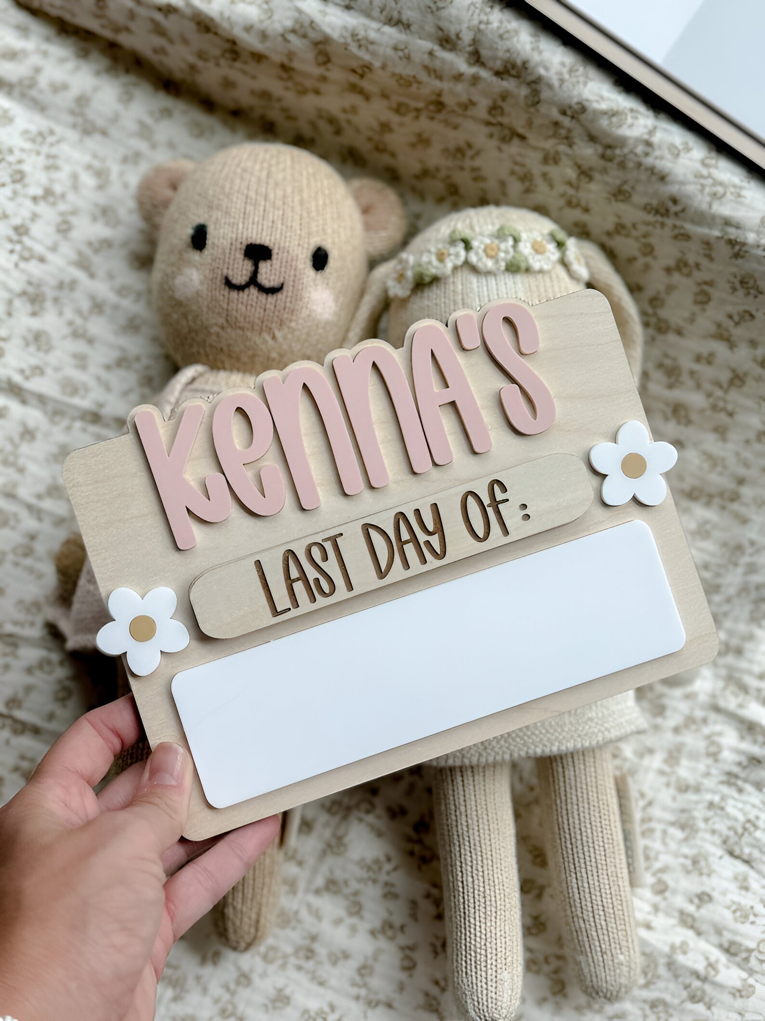 First Day of School Sign, Back to School Sign, Kids First Last Day of School Sign, Interchangeable School Sign, Back to School Photo Prop scsign1