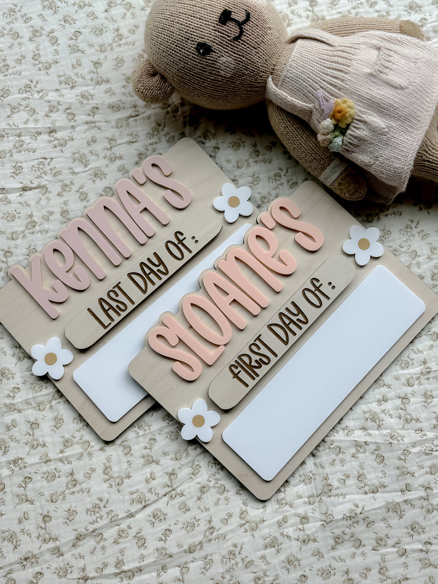 First Day of School Sign, Back to School Sign, Kids First Last Day of School Sign, Interchangeable School Sign, Back to School Photo Prop scsign1