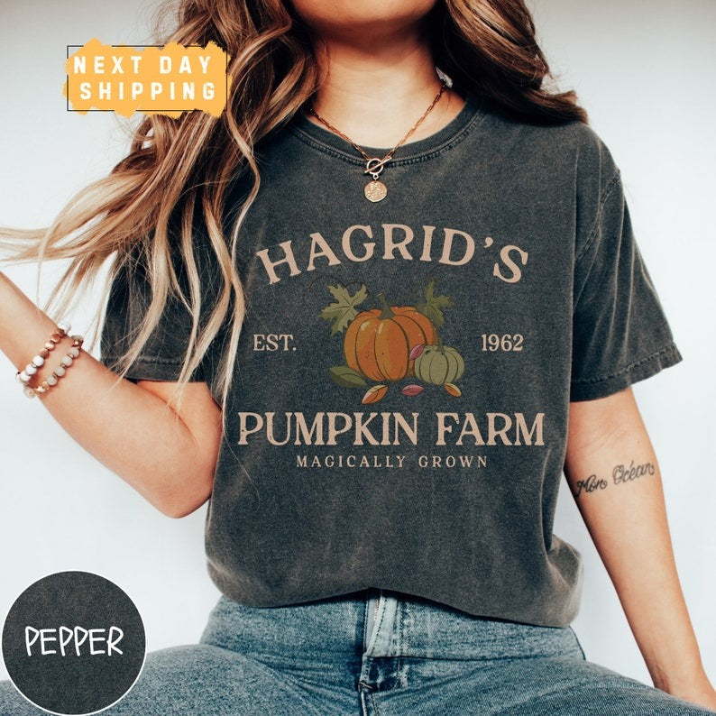 Vintage Fall Shirt, Hagrid's Pumpkin Patch Comfort Colors Shirt, Pumpkin Patch Shirt, Fall Tee, HP Fan Gift, Potterhead Gift, Halloween Tee TD0708