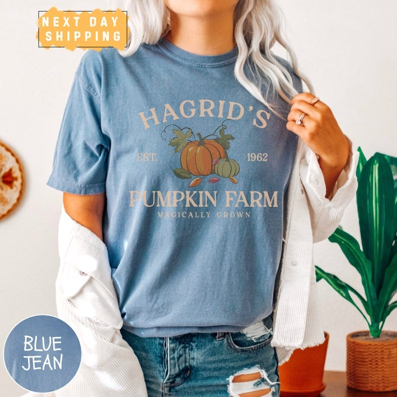 Vintage Fall Shirt, Hagrid's Pumpkin Patch Comfort Colors Shirt, Pumpkin Patch Shirt, Fall Tee, HP Fan Gift, Potterhead Gift, Halloween Tee TD0708