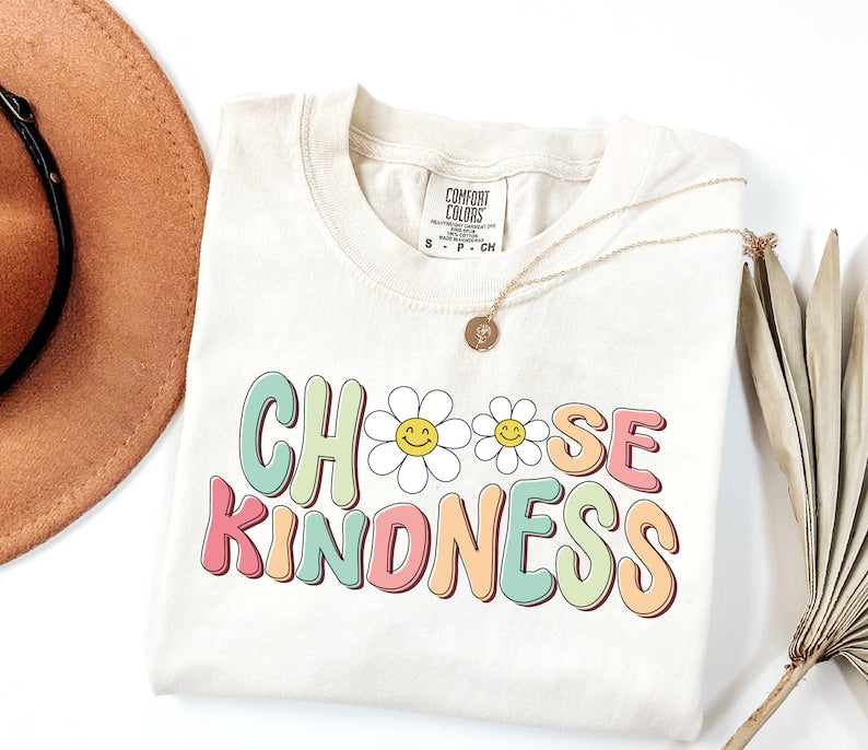 Cute Teacher Shirt, Choose Kindness Shirt, Be Kind Teacher Shirt, Back to School Shirt, Elementary School Teacher Shirt TD1308 03