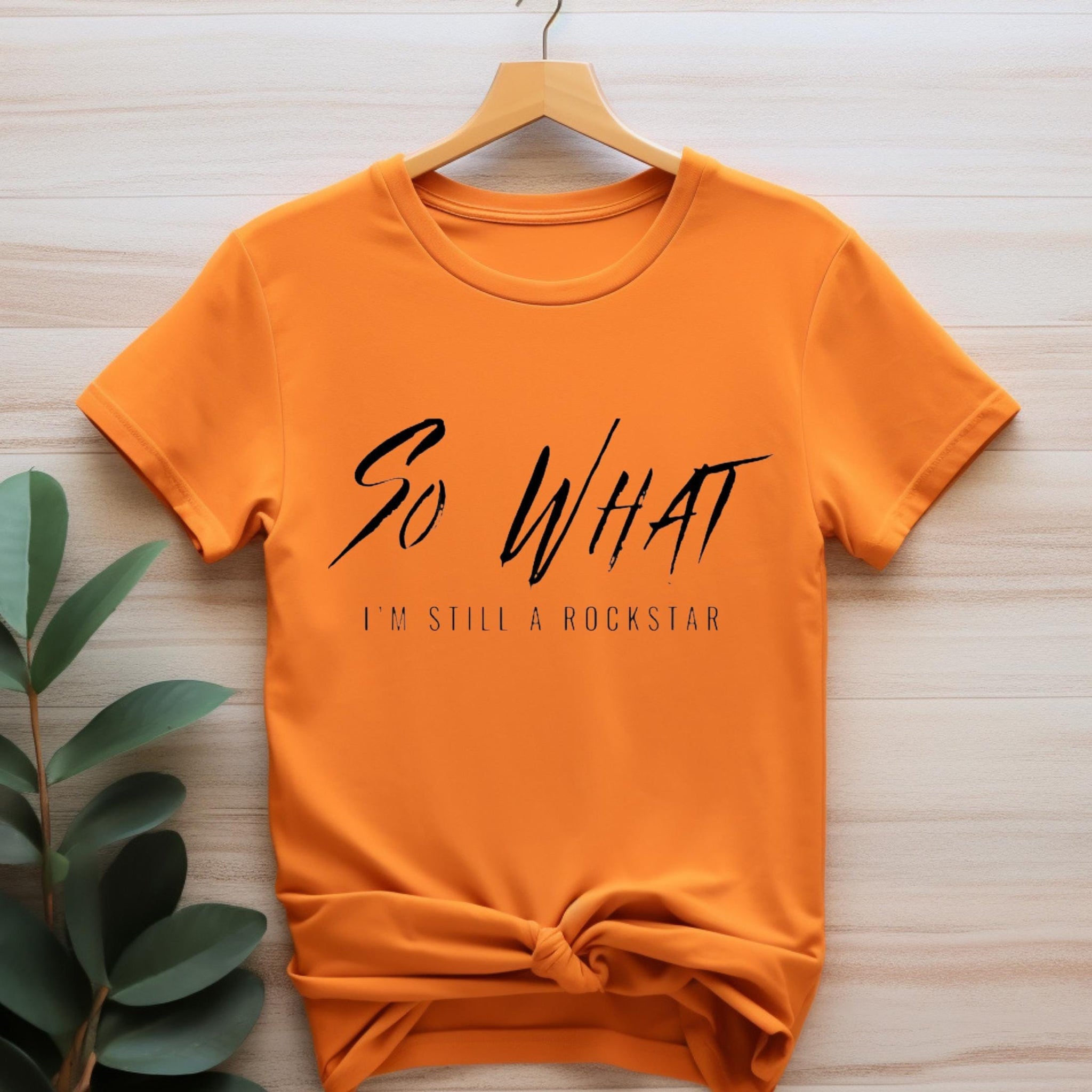 PINK P!Nk T-Shirt, Summer Carnival 2024 Tour Tshirt, Song Lyrics Tee, Pink Tour Merch, Gift For Fan So What I'm Still A Rockstar MS2108 03