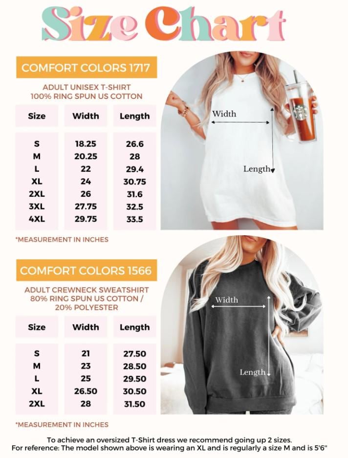 Post Malone Comfort Color Shirt, Cowboy Post Shirt, Country Shirt, Western Graphic Tee, Concert Shirt, Festival Shirt, I Had Some Help Shirt TD3008 15