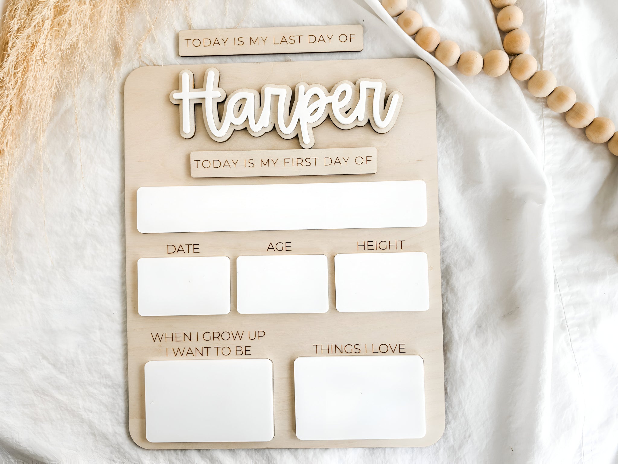 Personalized Interchangeable First Day of School Sign scsign1