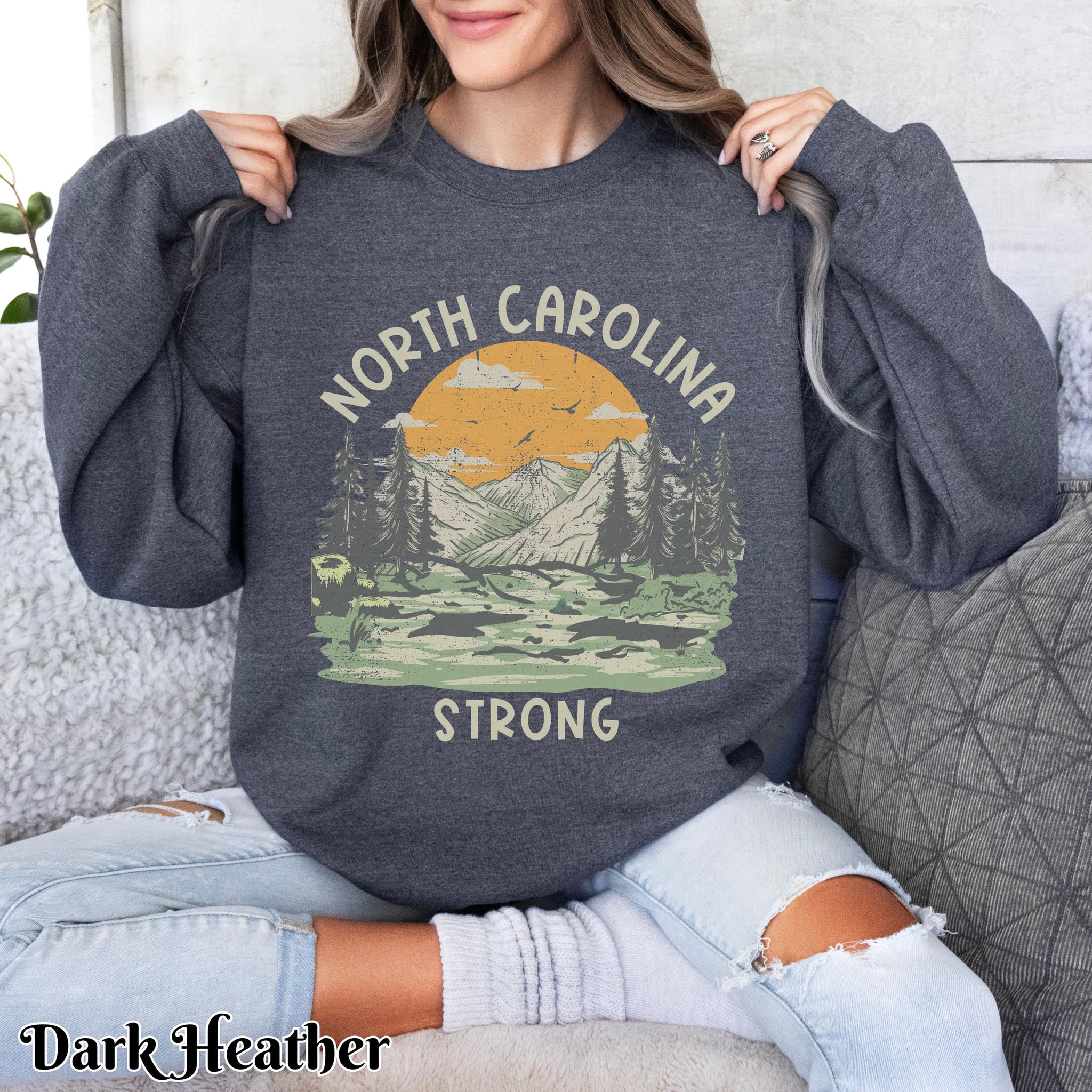 North Carolina Strong Retro Mountains Sun Sweatshirt, Hurricane Helene Survivor Crewneck Jumper, Hoodie, Unisex Pullover, Winter Clothing, TMC