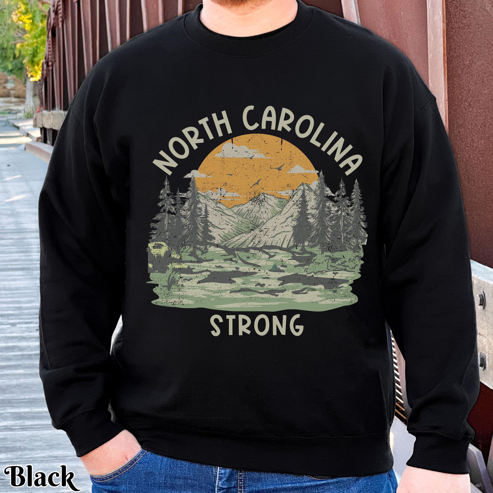 North Carolina Strong Retro Mountains Sun Sweatshirt, Hurricane Helene Survivor Crewneck Jumper, Hoodie, Unisex Pullover, Winter Clothing, TMC