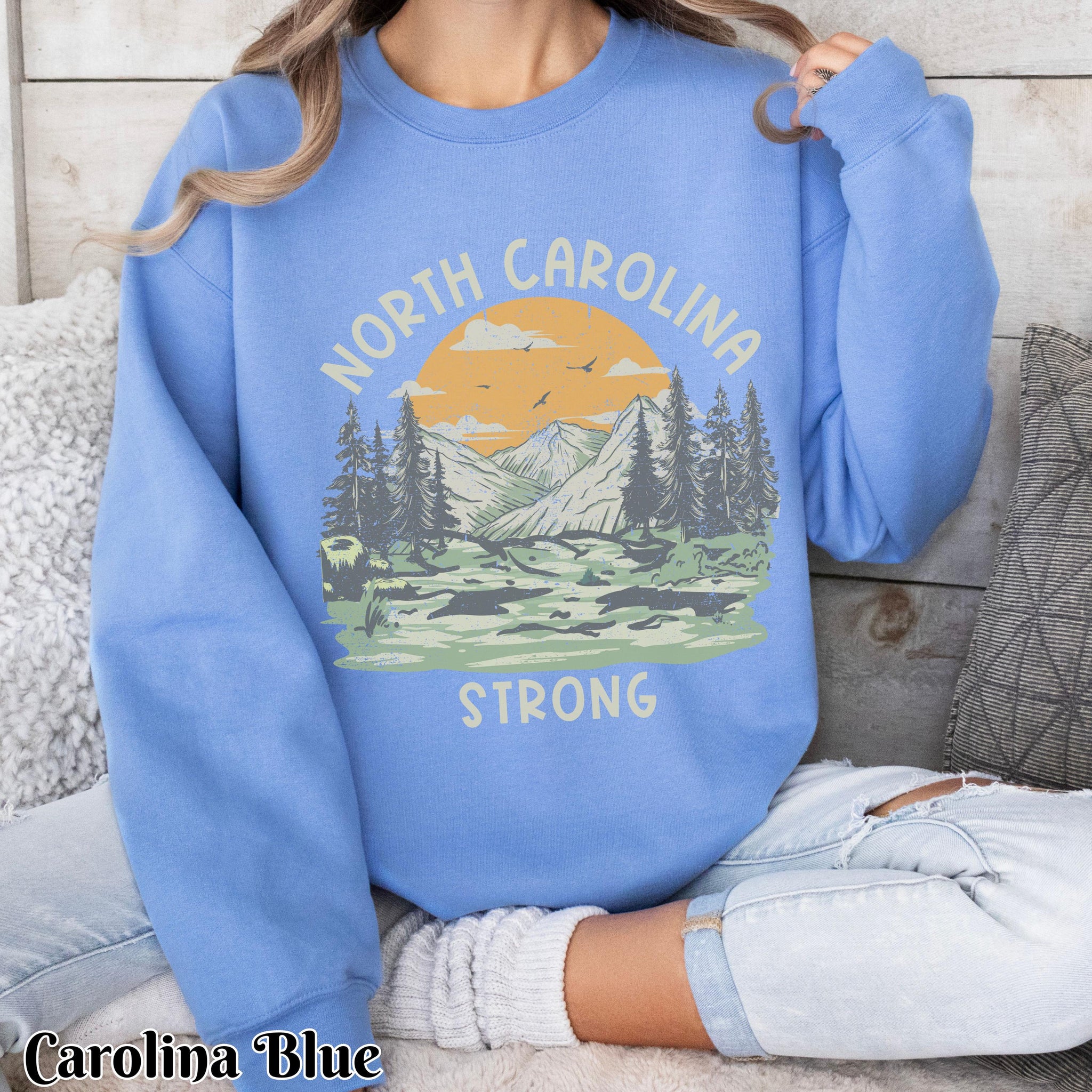 North Carolina Strong Retro Mountains Sun Sweatshirt, Hurricane Helene Survivor Crewneck Jumper, Hoodie, Unisex Pullover, Winter Clothing, TMC