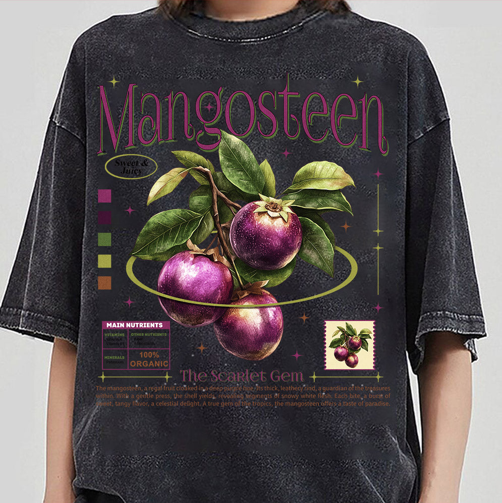 Retro Mangosteen Png, Y2K Vintage Nostalgic 2000s Trendy Sweet Fruits Natural Lover