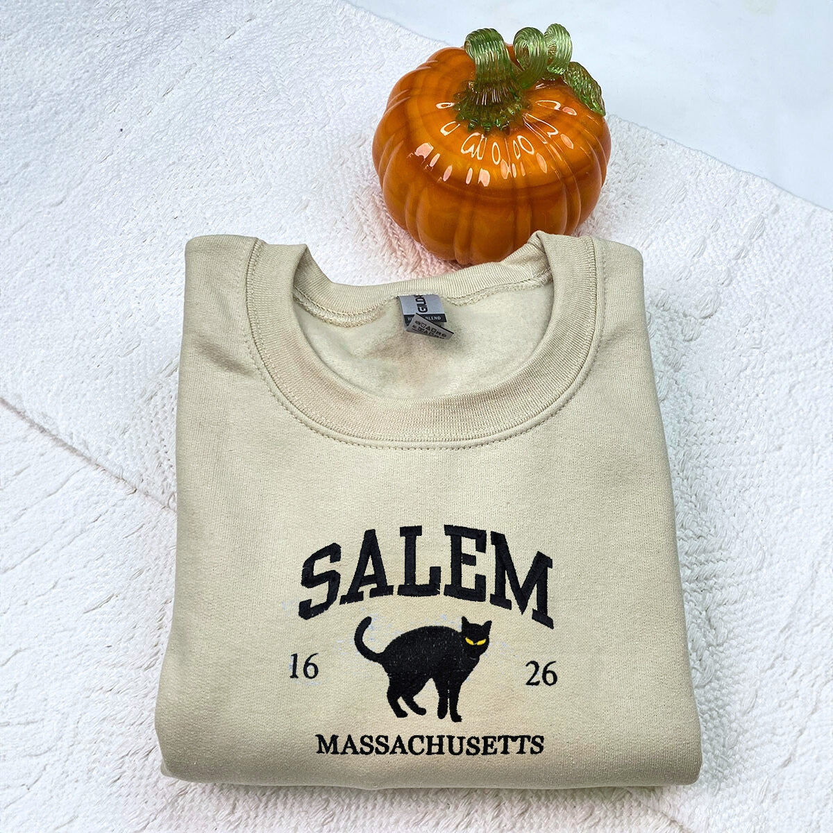 Salem Massachusetts Sweatshirt, Hocus Pocus Embroidered Sweatshirt or Hoodie for Halloween Season EMHA2608