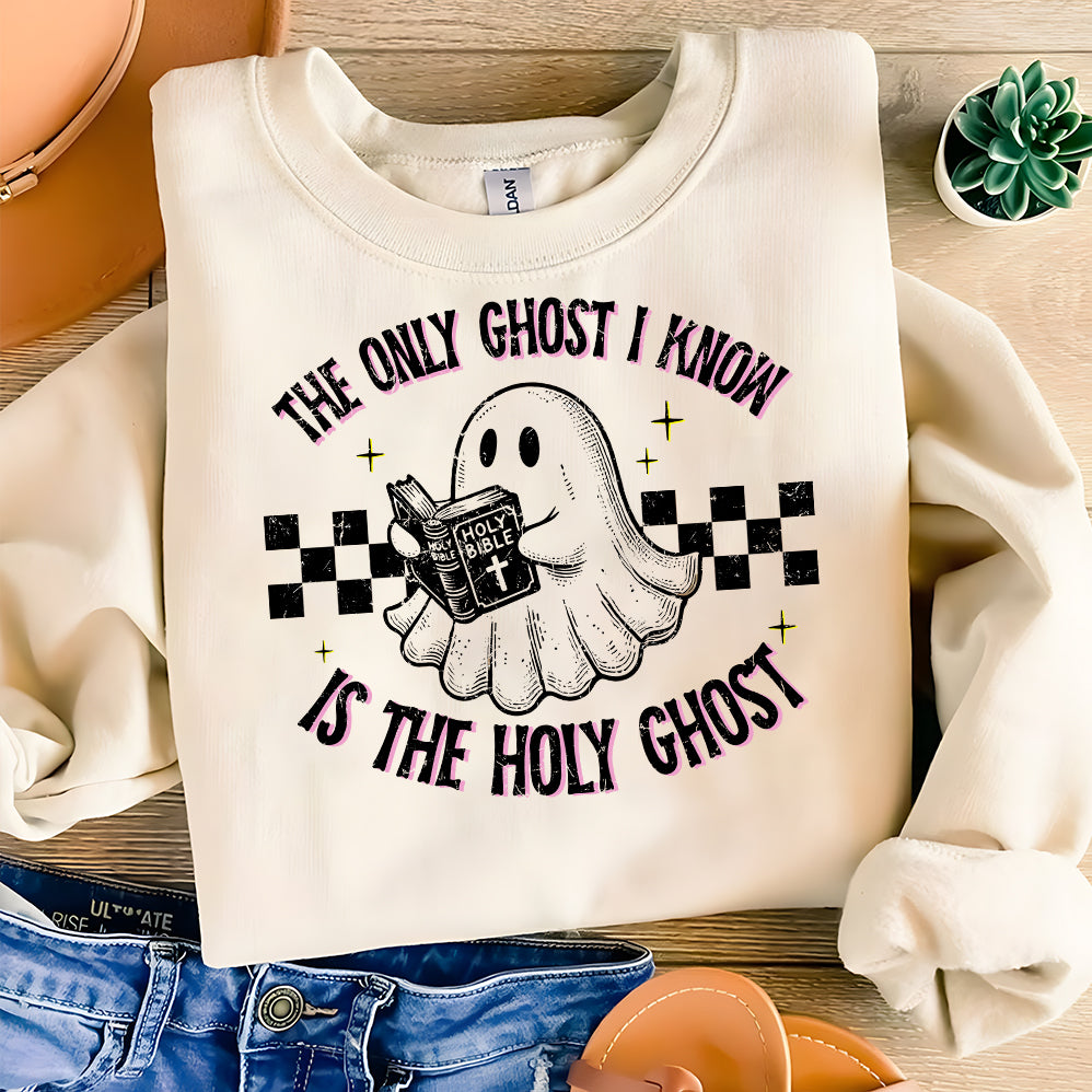 The Only Ghost I Know Is The Holy Ghost T-shirt, Funny Boo Bible Shirt, Meme shirt