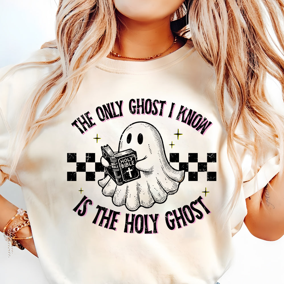 The Only Ghost I Know Is The Holy Ghost T-shirt, Funny Boo Bible Shirt, Meme shirt