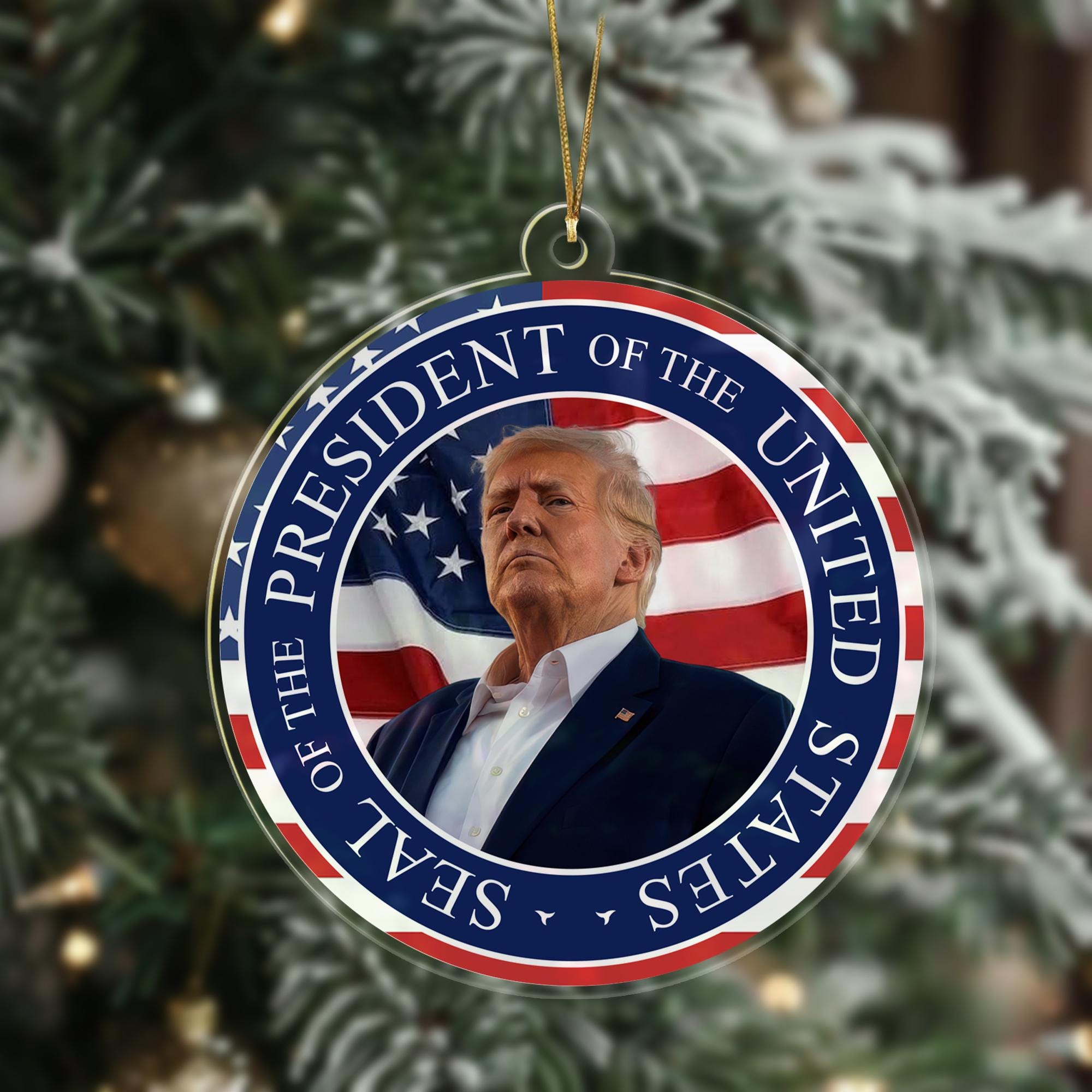 Trump President Inauguration Day Ornament, Donald Trump Inauguration Day 2025 Ornament, Trump Vance 2024 Acrylic Ornament ORNO5